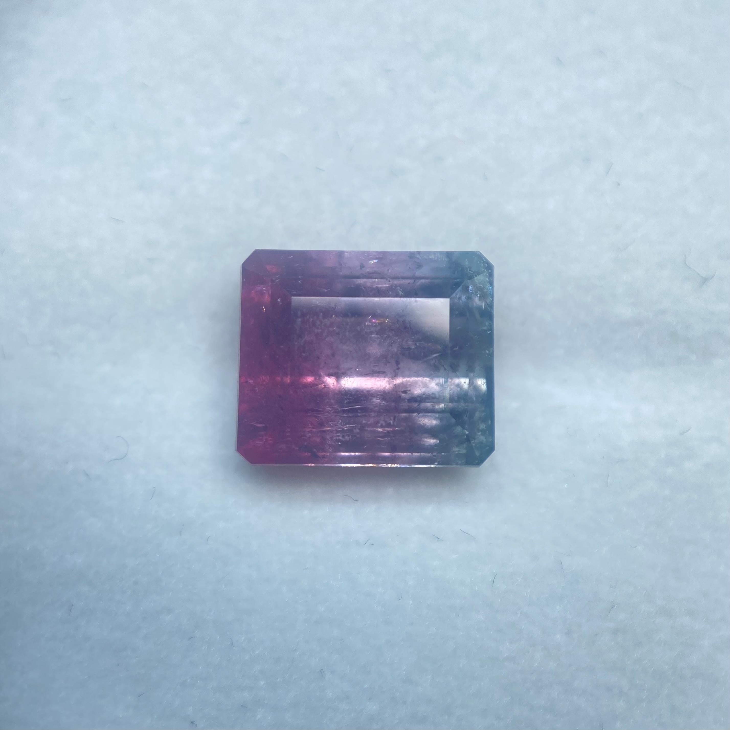 ヴィランズたちのハロウィンパーティー トルマリン