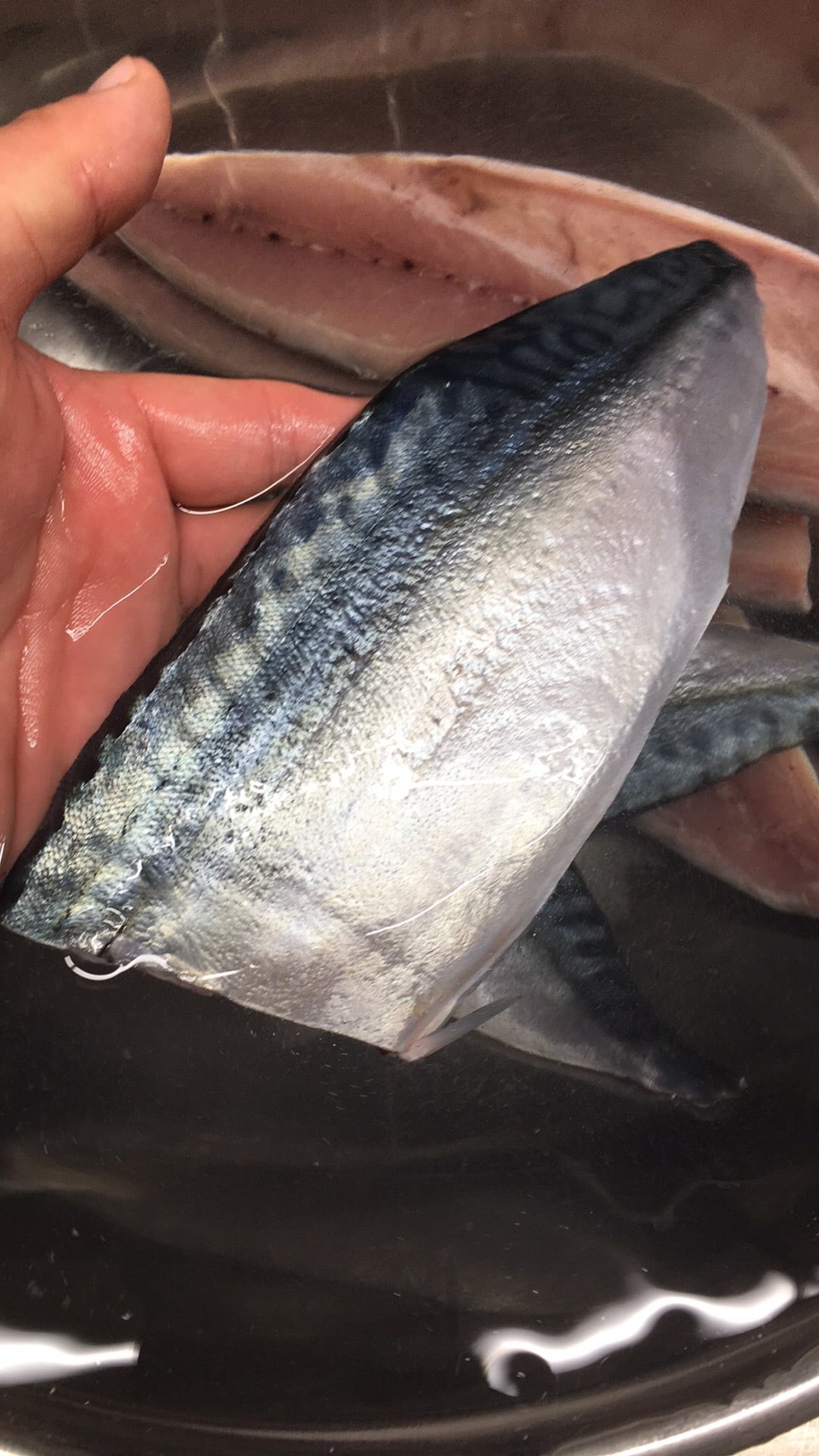 旨しめ鯖(3パック入り) | いえもんや