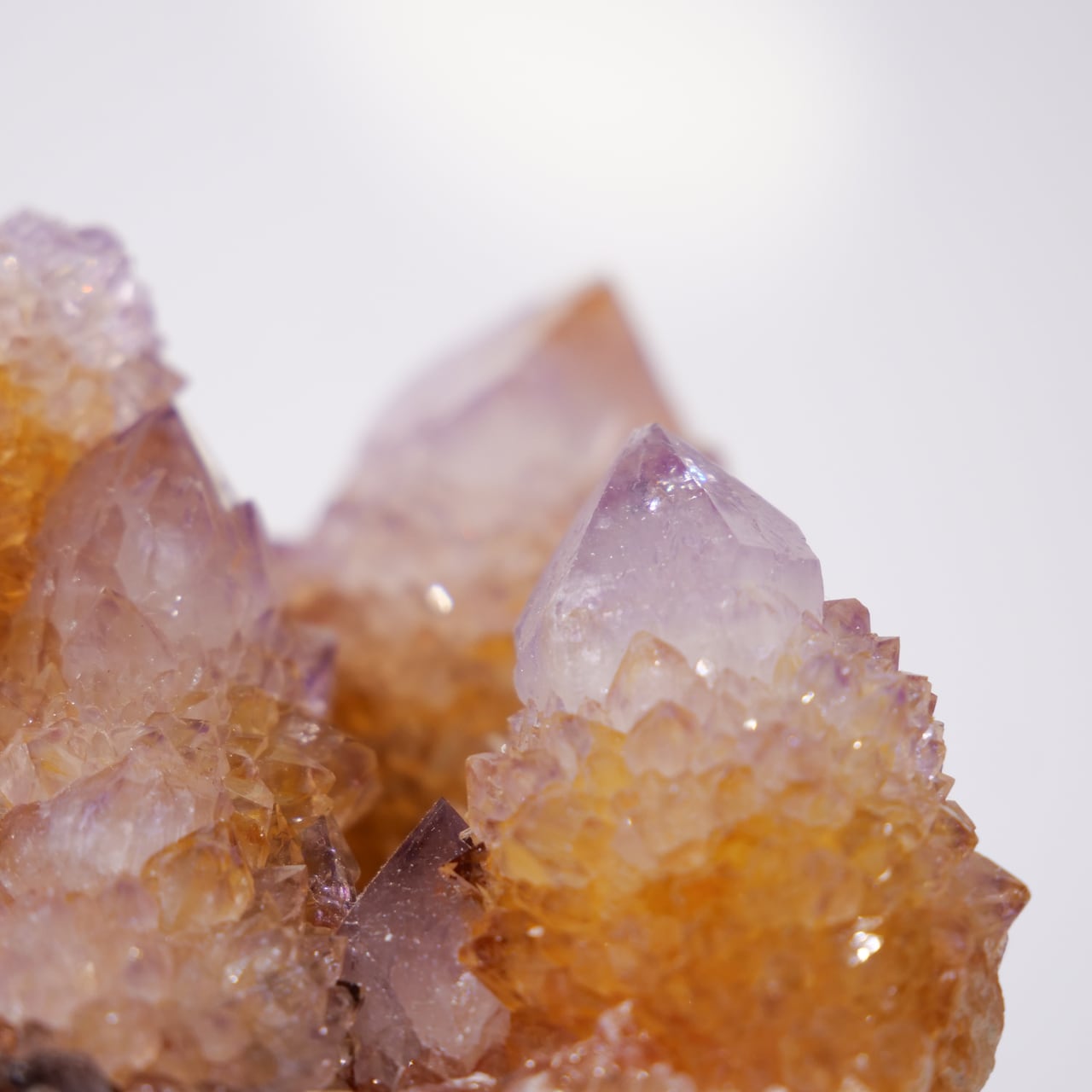 カクタス スピリット アメジスト アメシスト / 原石 標本【BIG_2