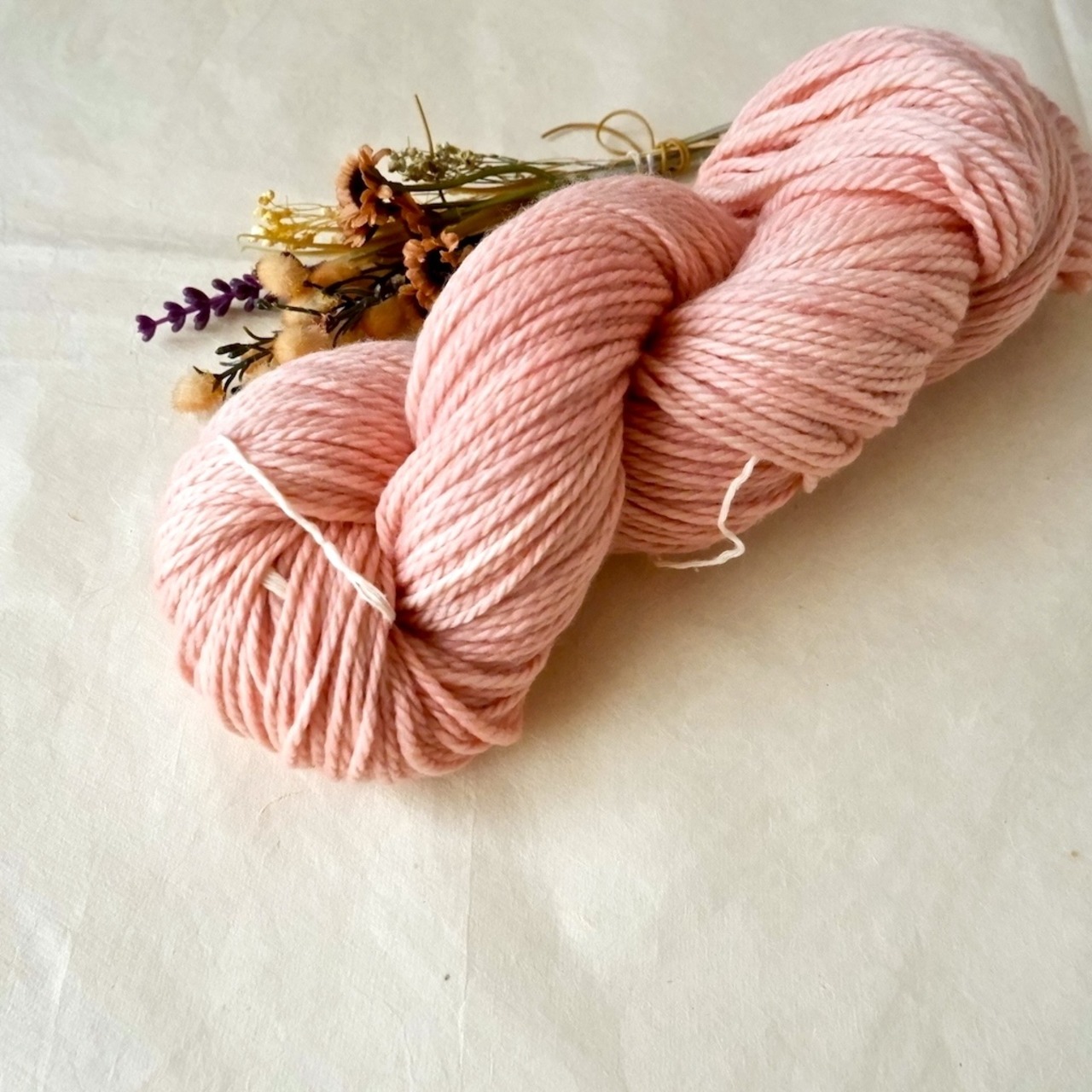 meriyasu Aran mA801・画像2