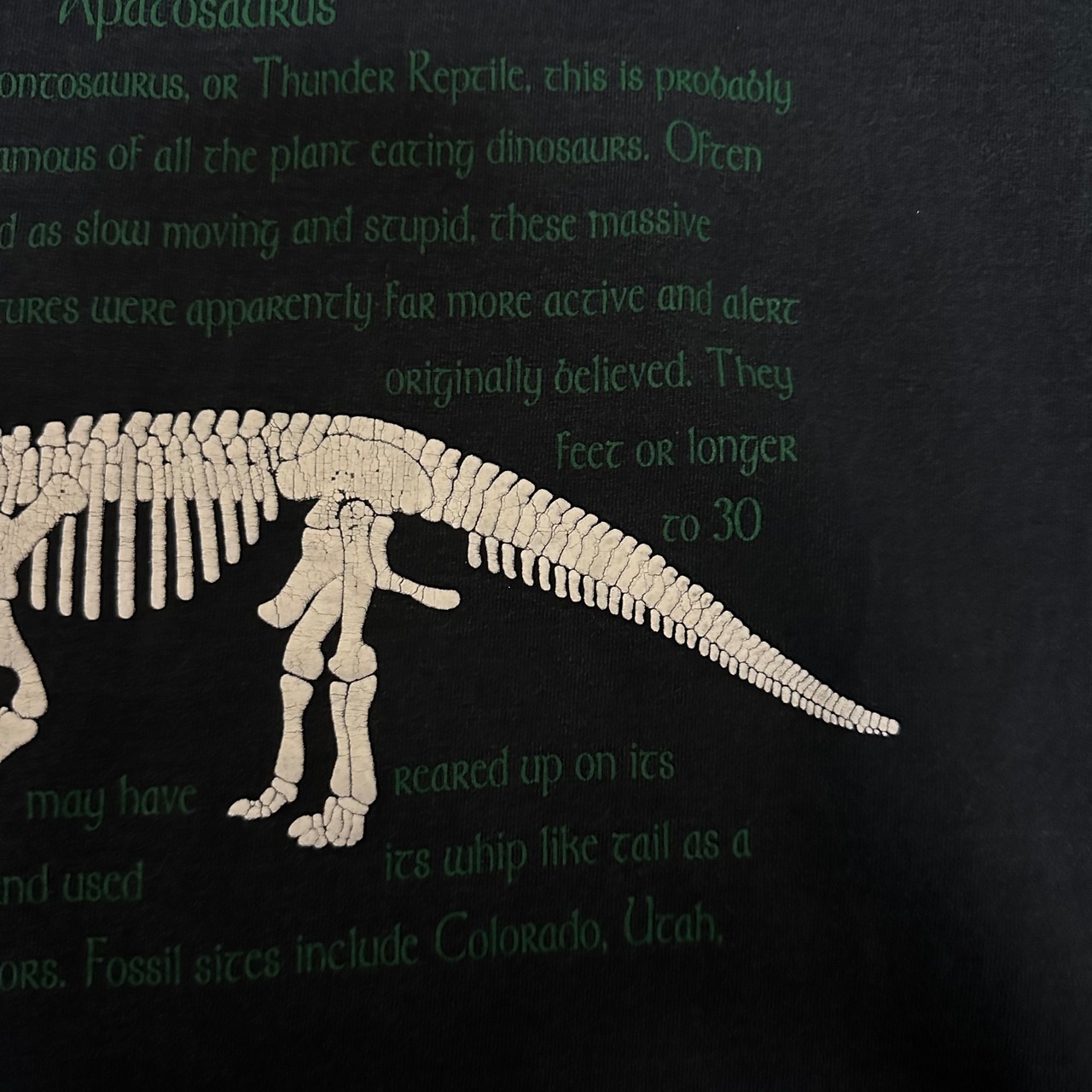 ●90s 恐竜 アパトサウルス Tシャツ