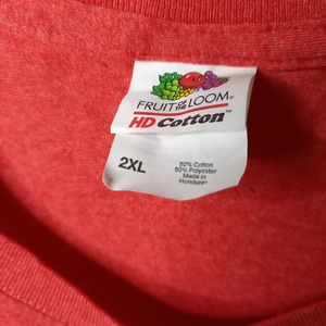 フルーツオブザルーム　プリントT　カレッジ　オーバーサイズ　くすみレッド　2XL