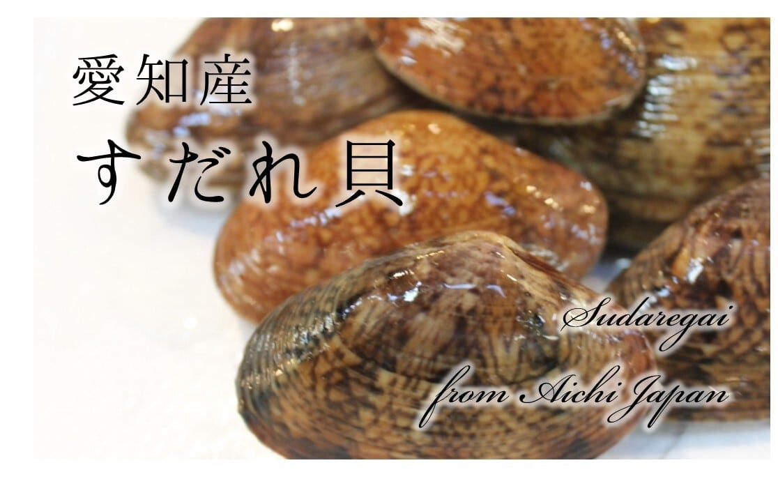 天然すだれ貝 活 愛知産他 スダレ貝 約1kg［豊洲直送］甘味が強い旨い