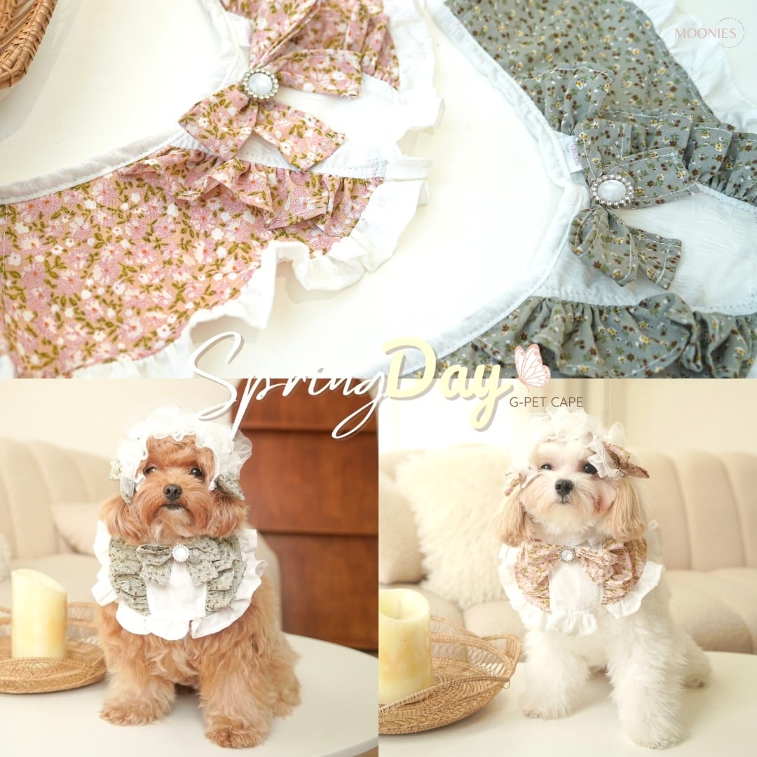 Spring Day – Girl Pet Cape〈XS,S〉