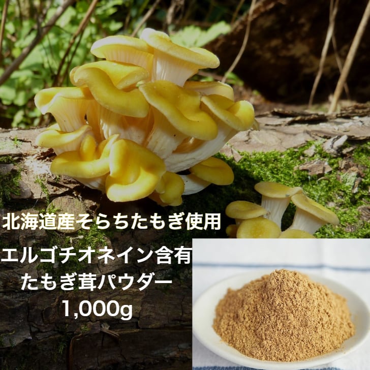 たもぎ茸石突乾燥パウダー 1,000g【北海道産 そらちたもぎ】 | 【た