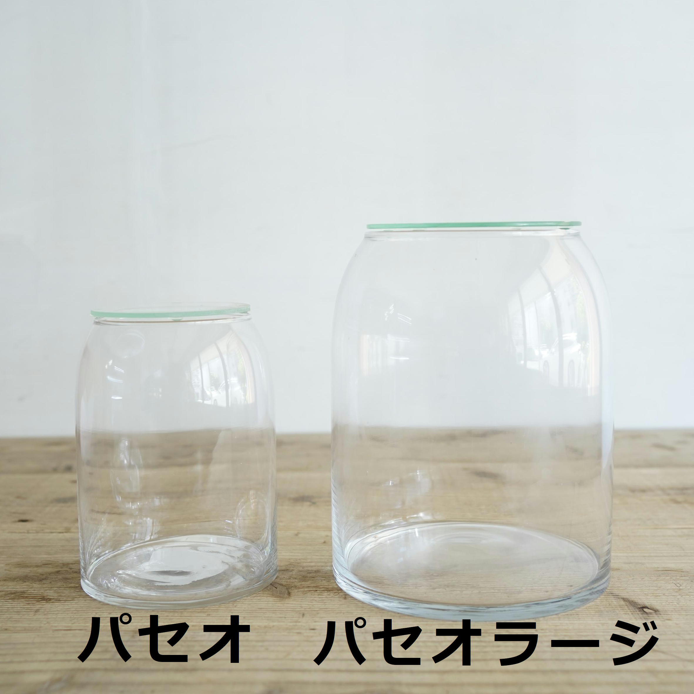 ガラス容器】パセオラージ（Φ170xh200mm） | 苔テラリウム専門