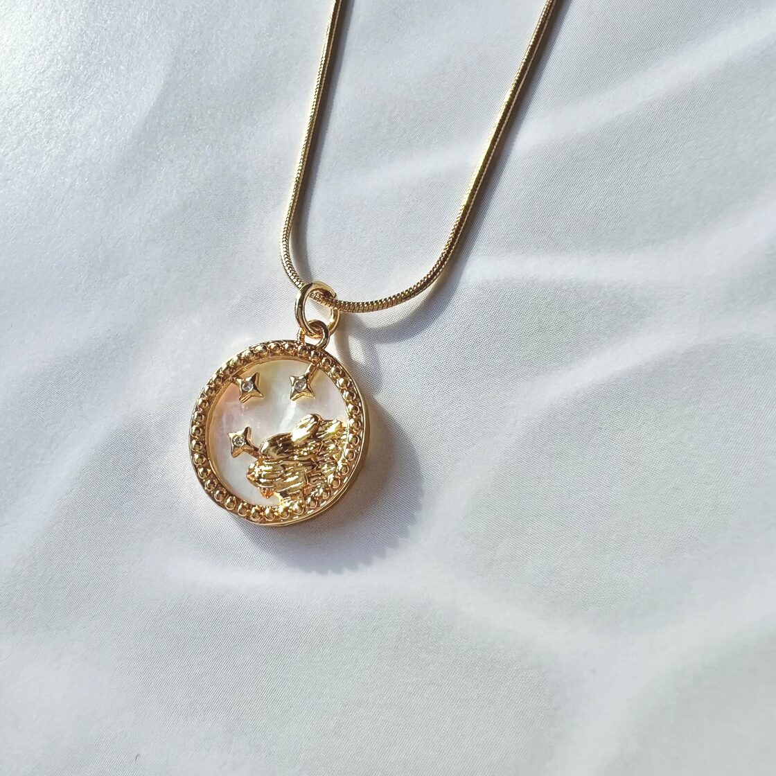 しし座〉星座シェル コインネックレス 18KGPサージカルステンレス | Pay ID