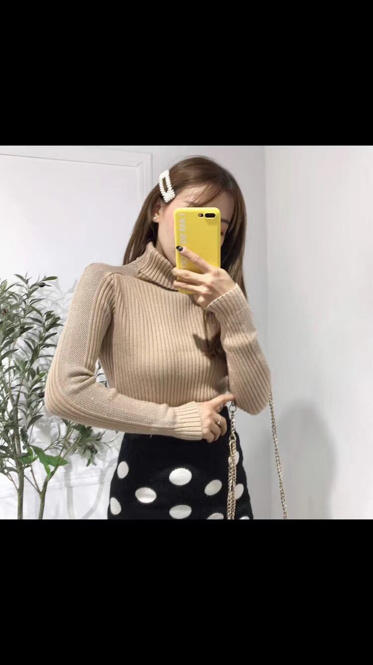 タートルネックリブニット