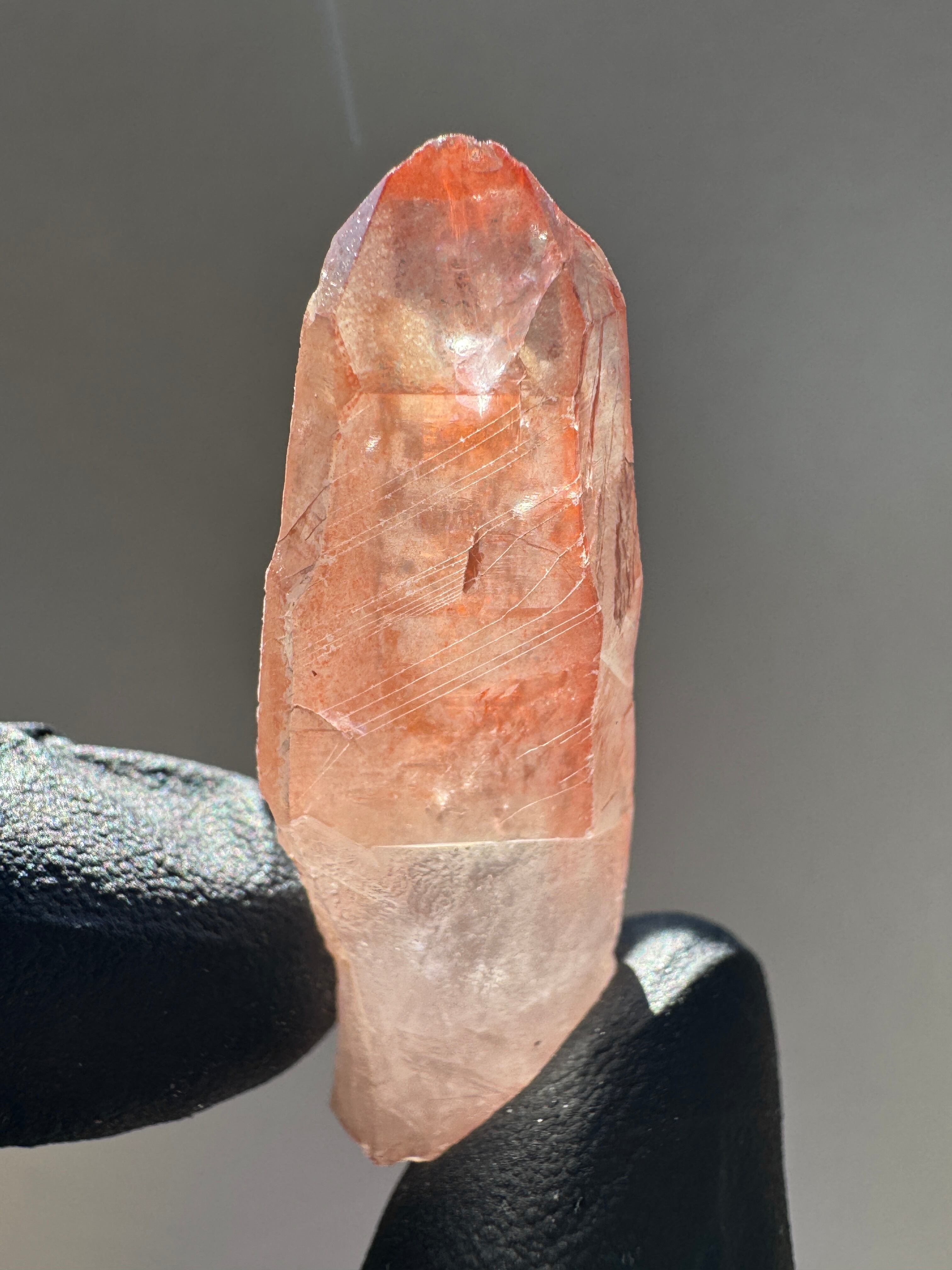 レムリアンシード | アトリエ セドナ