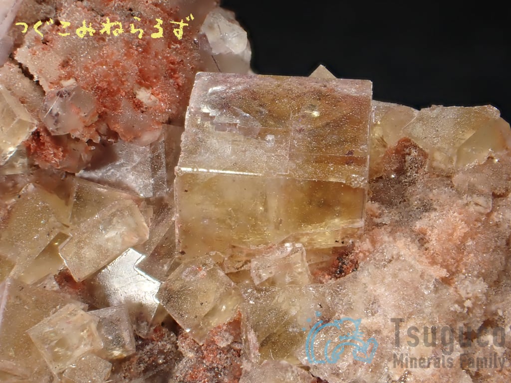フローライト 蛍石 Fluorite チェコ TM-0002