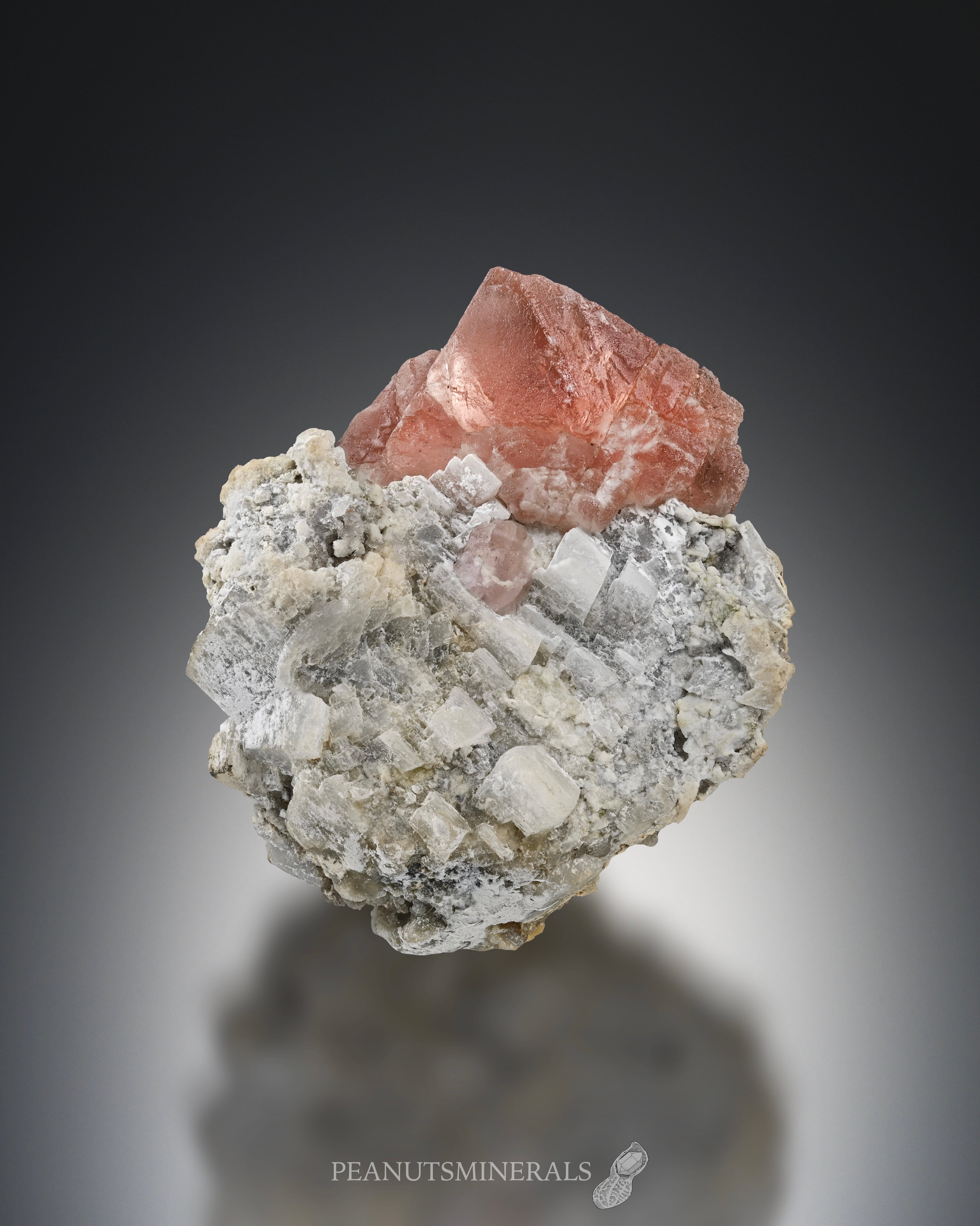 フローライト【Fluorite】フランス産 | PEANUTS MINERALS