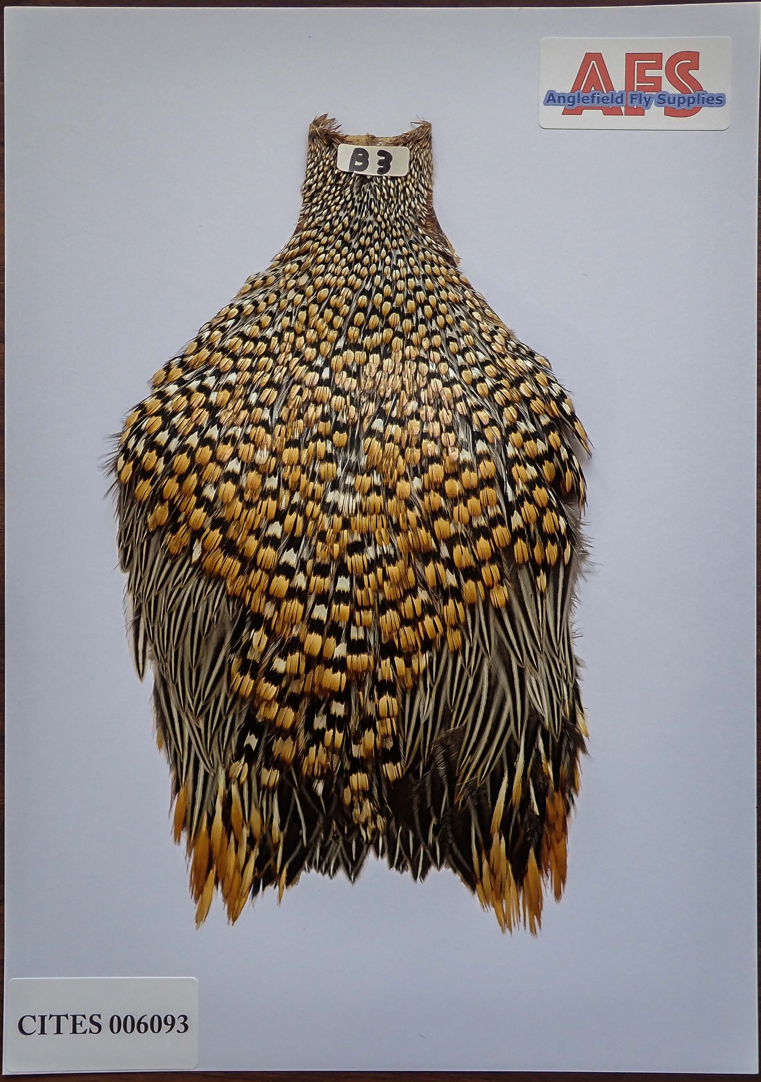 Junglecock / ジャングルコック | Anglefield Fly Supplies