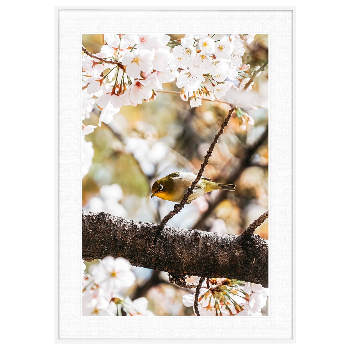 98b6f2713f4189b0f04c121d0eb944