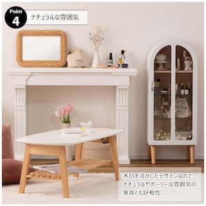 コレクションシェルフ(2色)　PT