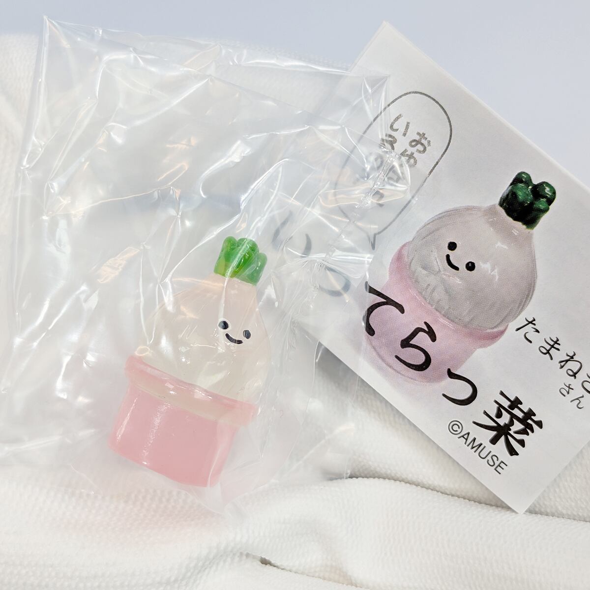 いってらっ菜 アミューズ 【全5種フルコンプセット＋DP台紙おまけ