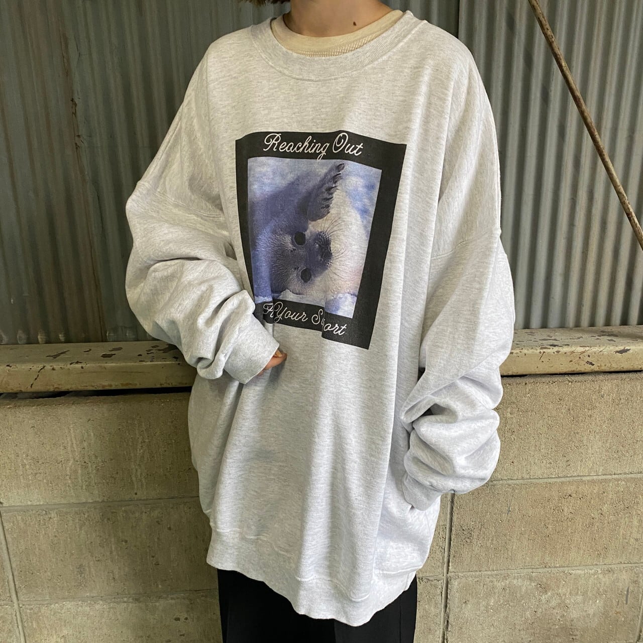 PENN STATE トレーナー　90s ヘインズ　ビックプリント　2XL