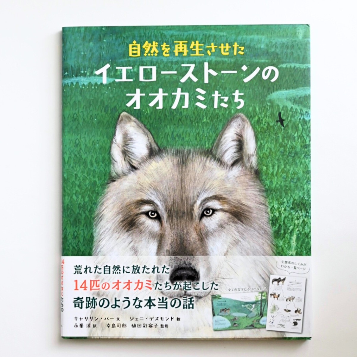 98ba1c0597c50388fd1d045ac05c34