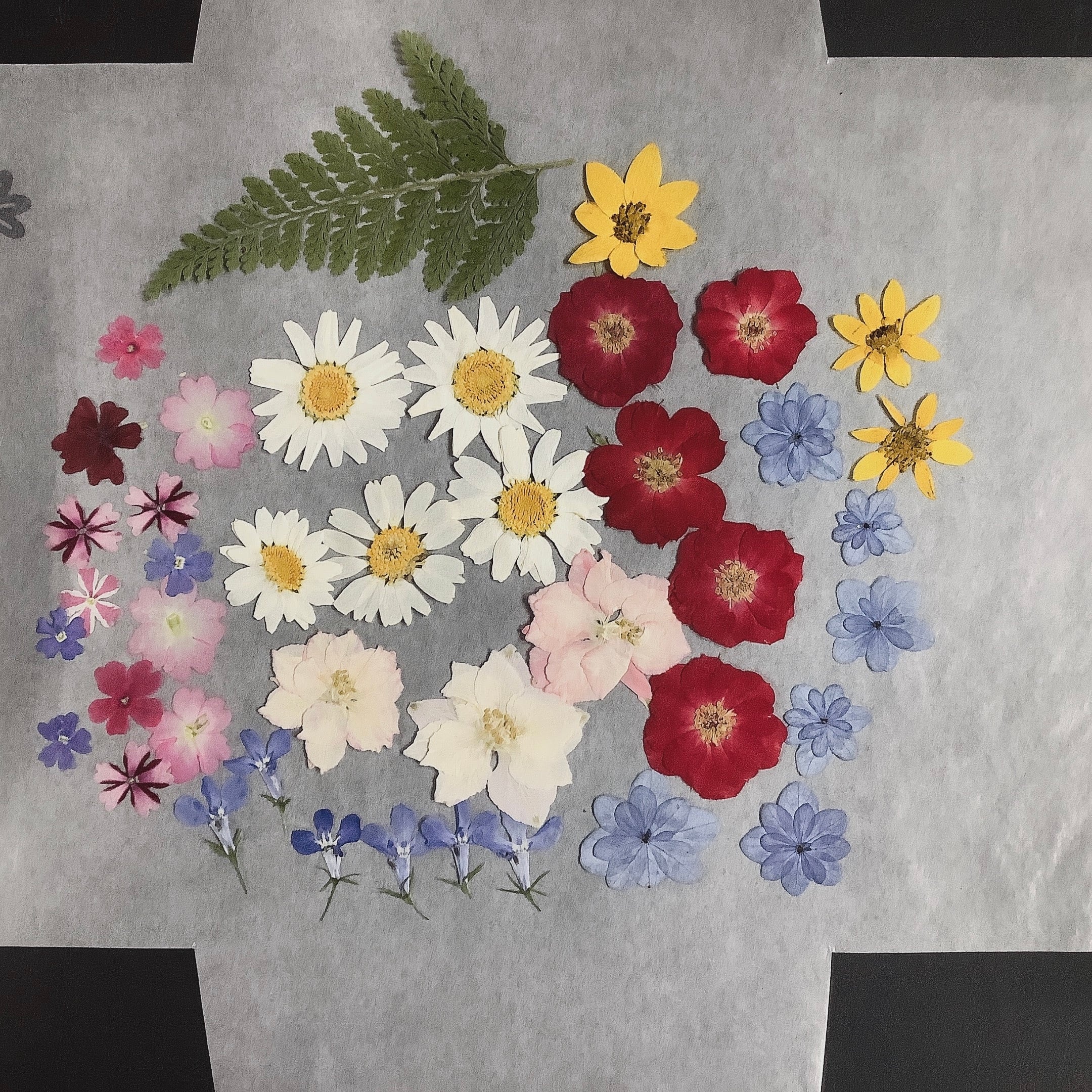 花の慶次おまとめセット AKB0540948.jpg