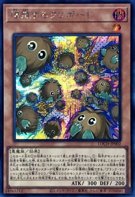 【Bランク】増殖するクリボー(シク)