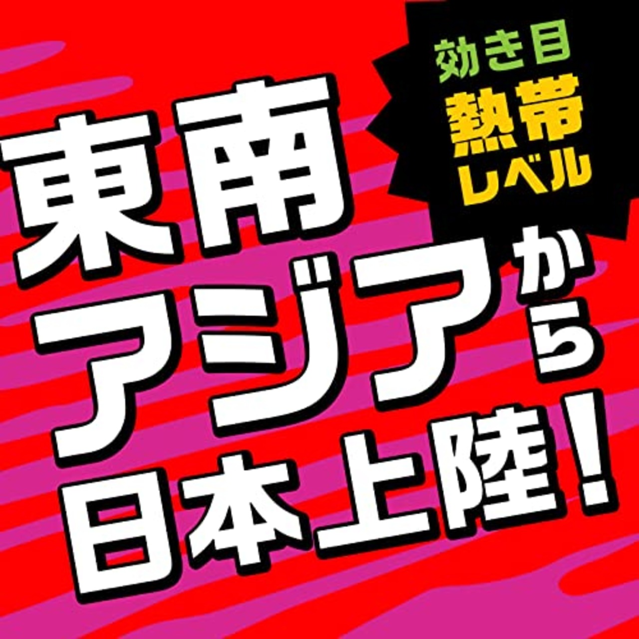 アース モンスーン アース虫よけ線香モンスーン ラベンダーの香り 線香立て付き 100巻 キャンプ アウトドア 害虫 忌避