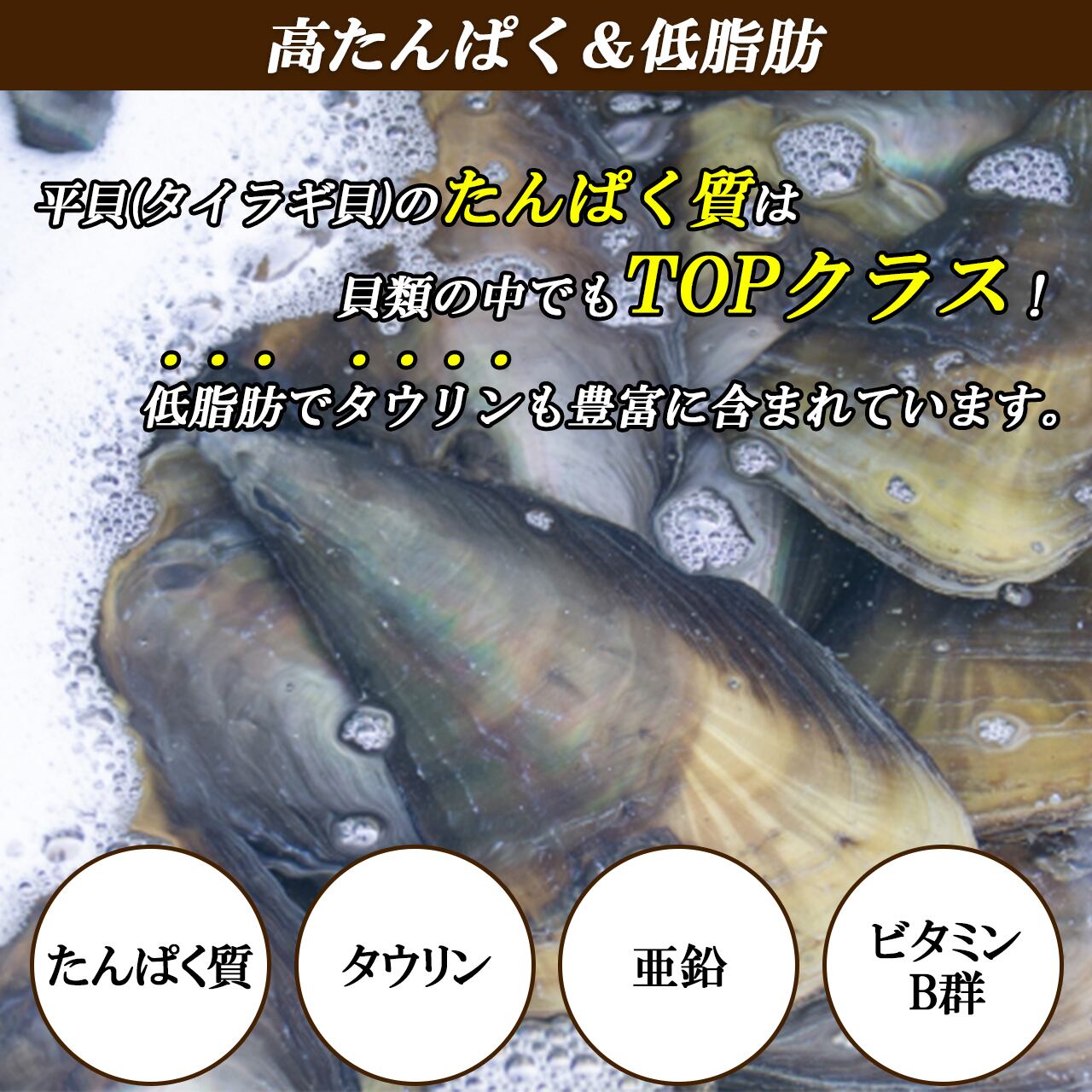 タイラギ貝 貝柱 1P/500g (16～20粒) 平貝 お刺身用 | いいBUYストア