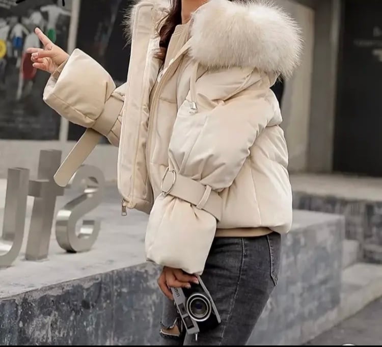 ベルベットショートダウンジャケット | Pay ID