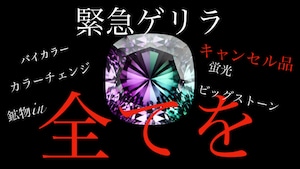 【24時間限定】月末ゲリラサービスイベント［No.K-850］