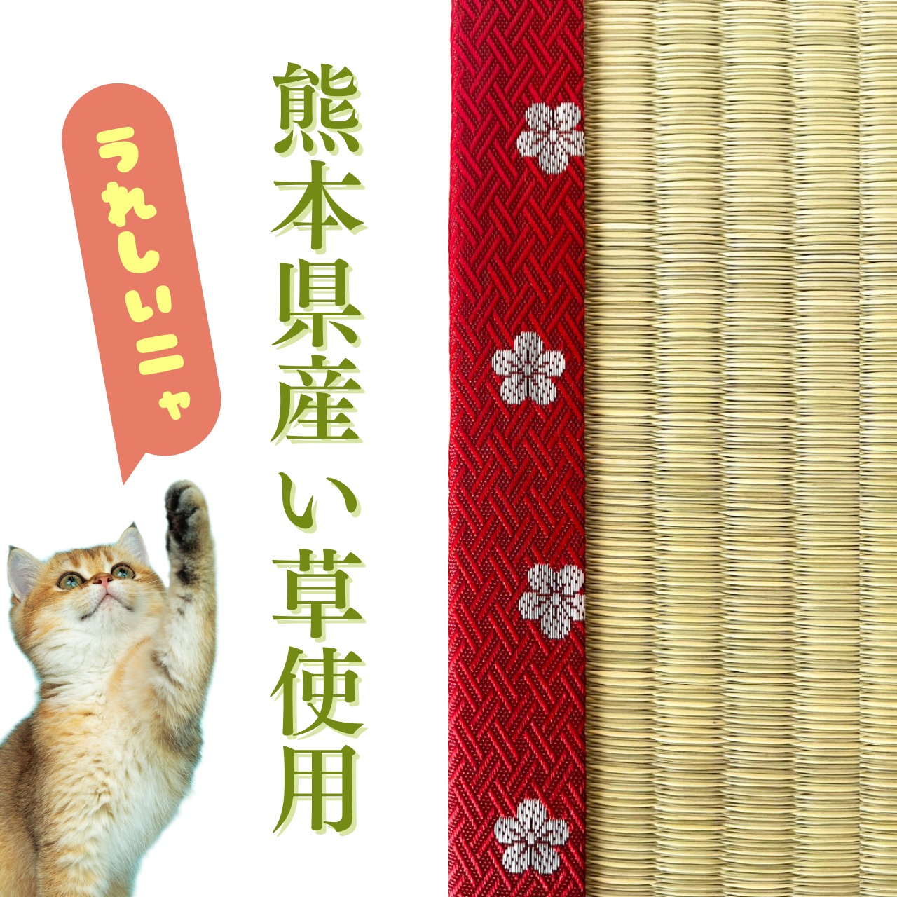 熊本県産い草100% お猫様専用ミニ畳 梅柄 | NIHONT〜にほんと〜