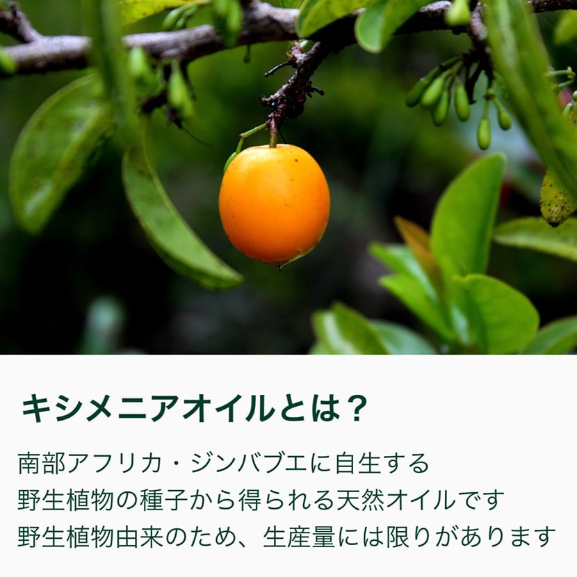 キシメニアオイル 100% オーガニック 不飽和脂肪酸 20ml入 天然 Pure Ximenia Oil 無添加 シリコンフリー 香料フリー 着色料フリー ジンバブエ