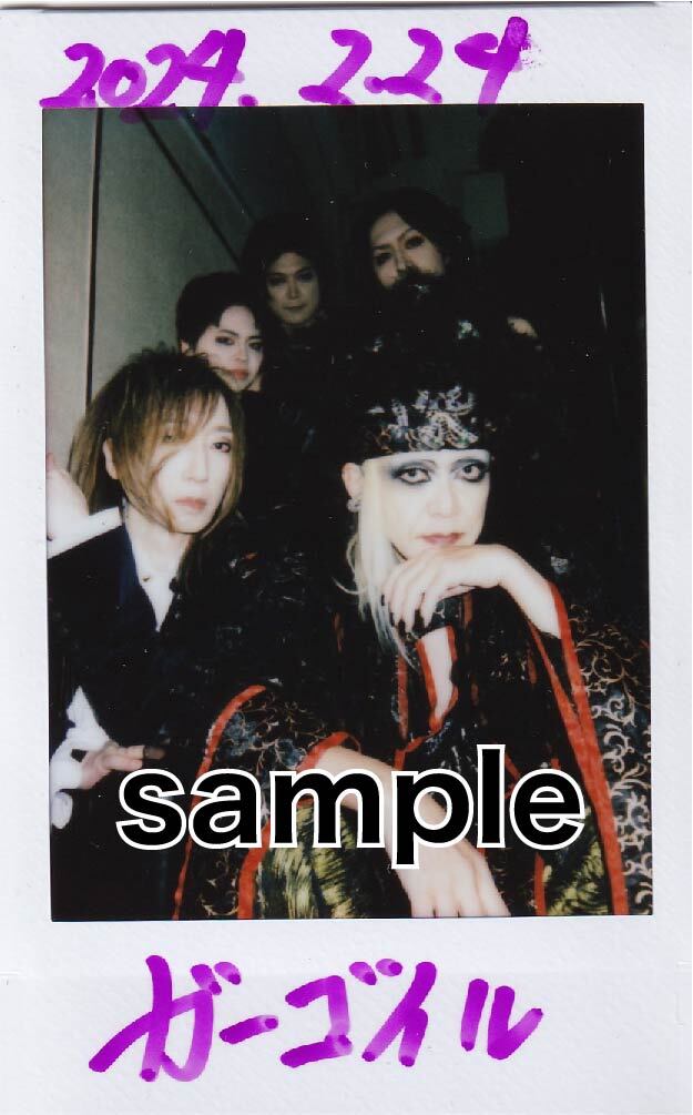 ガーゴイル　gargoyle ピック　2枚セット ガーゴイル gargoyle ピック 2枚セット Gargoyle online shop