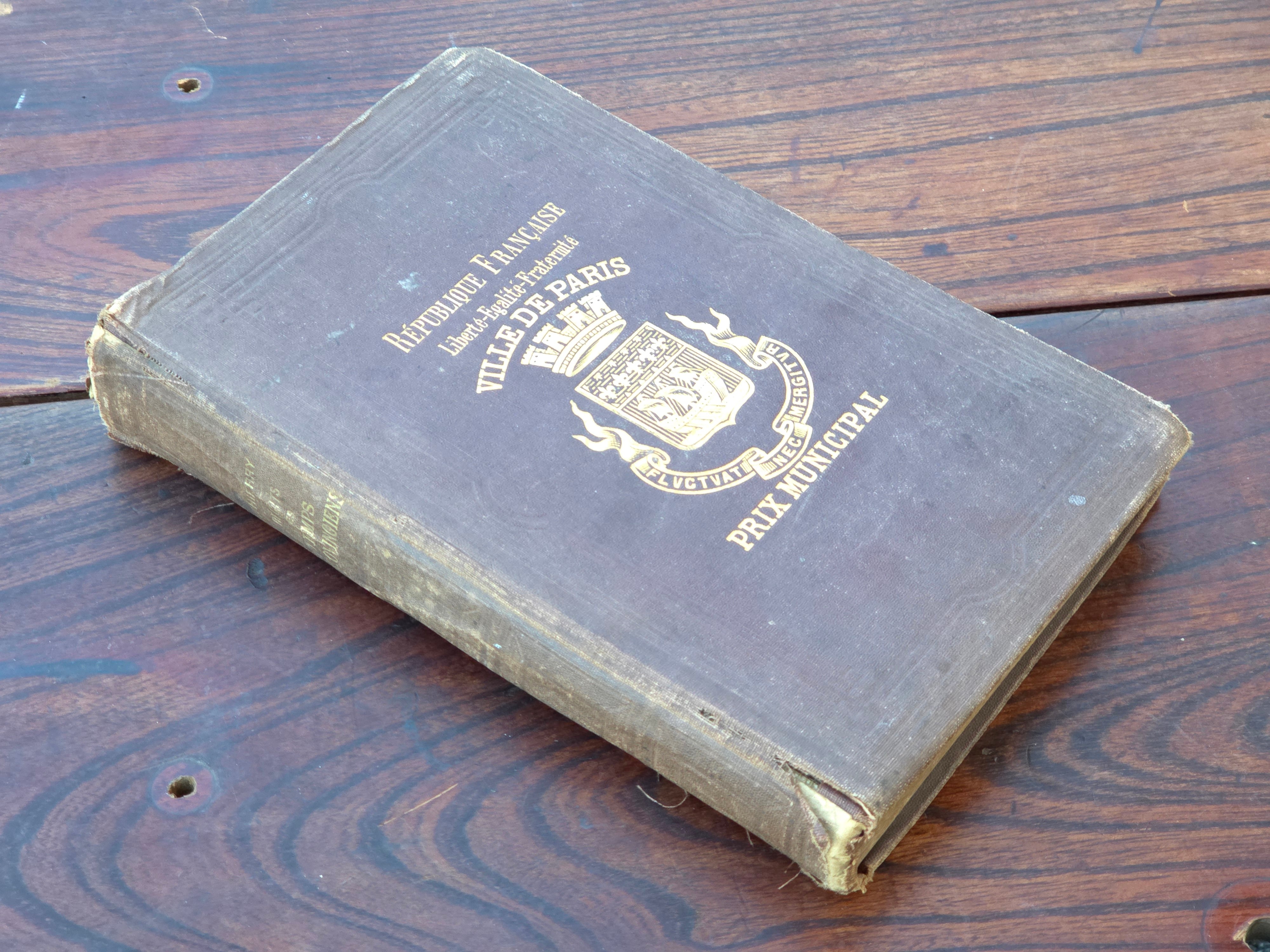 【Antique】フランス 1898年 書籍 ”メロヴィング朝史話” /d028