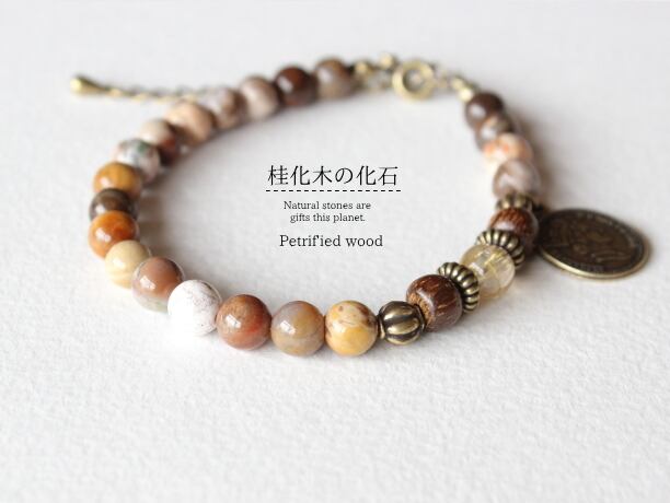 桂化木の化石/ルチルクォーツAAA/Mix