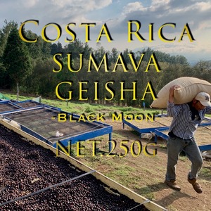 250g／コスタリカ／シュマバ・ゲイシャ・ブラックムーン／現地視察農園