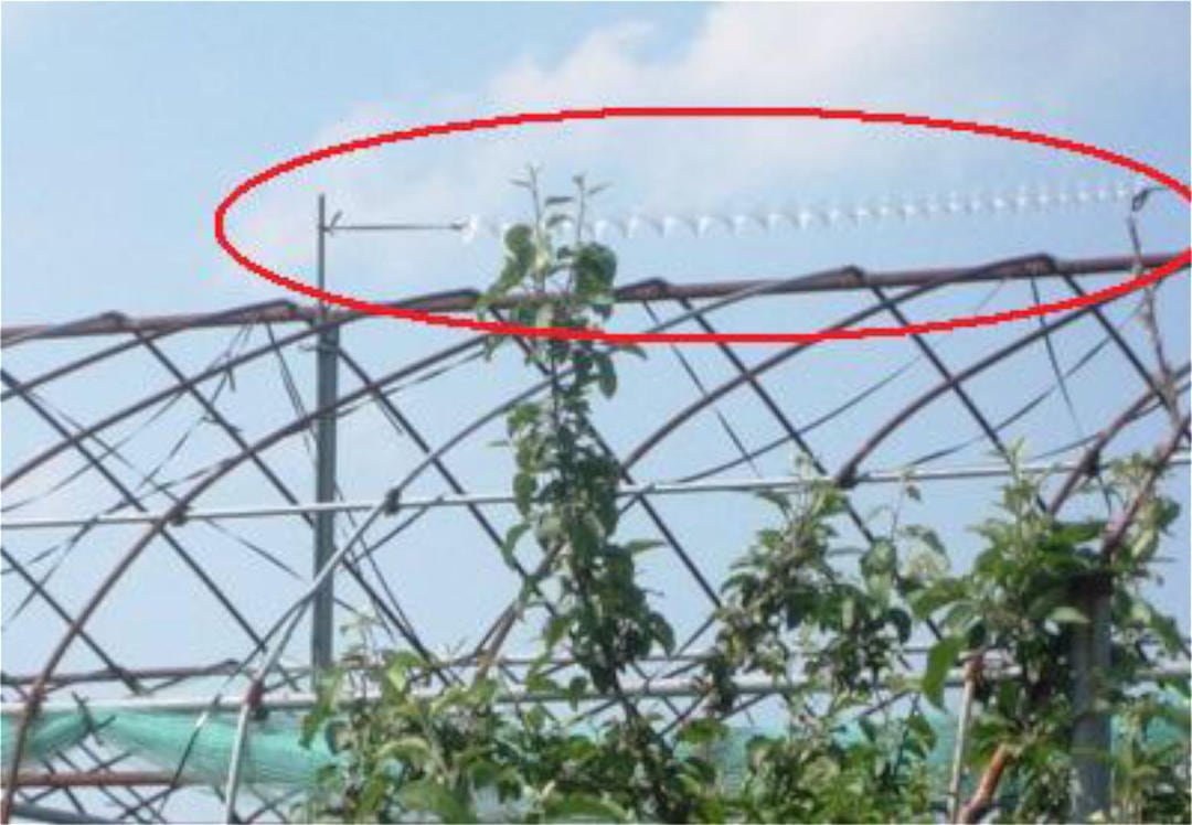 カラス撃退！カラスなぜ逃げる? 農園 工場用5m