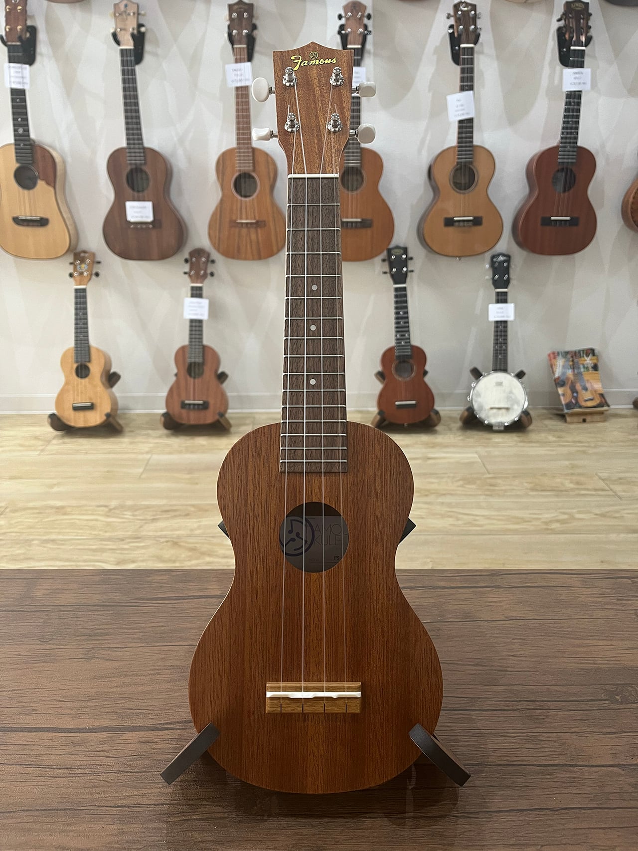 Worth Strings クリアフロロカーボン CM46 | ウクレレショップ サニー