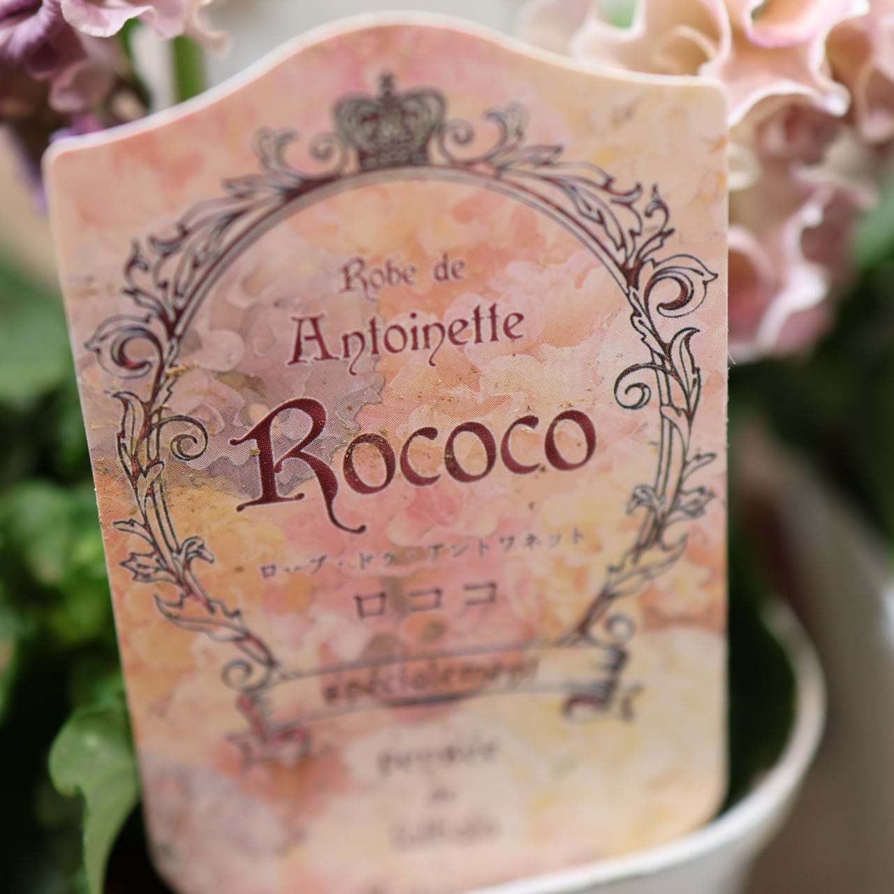 479 超希少！サトウ園芸さんの『ローブ ドゥ アントワネット 