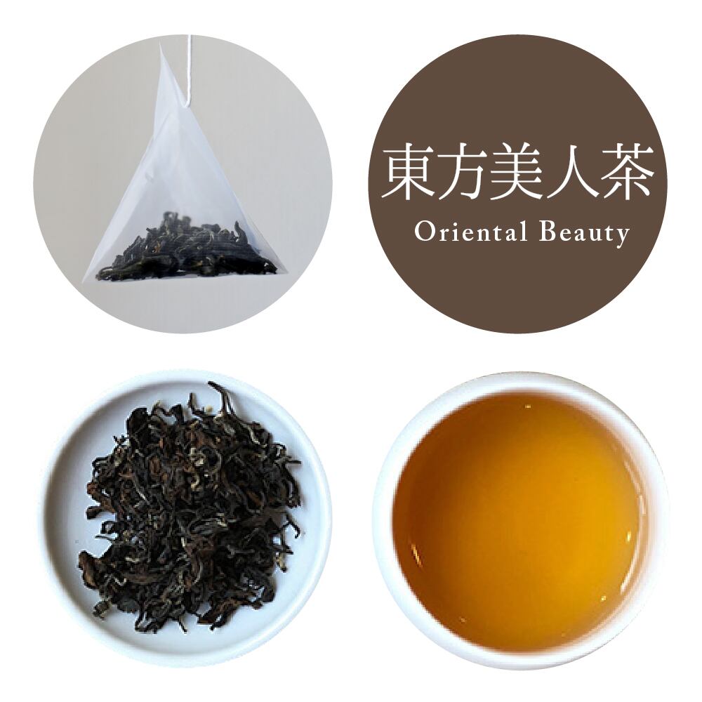 日月潭紅茶 4缶セット 【公式通販】