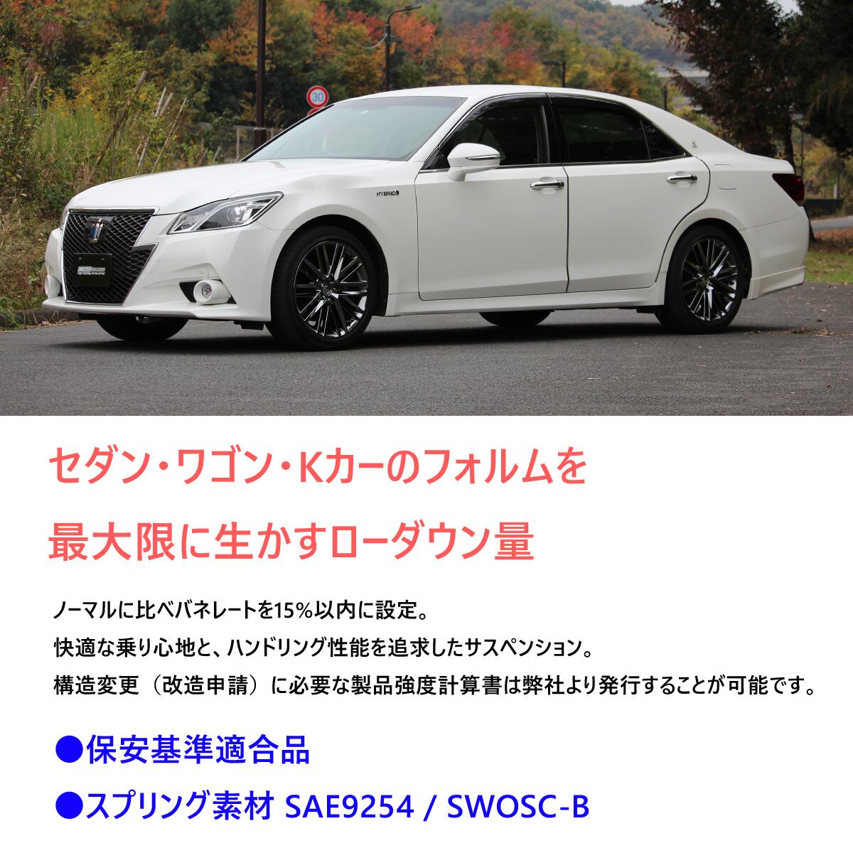 BLACK SUS】 ローダウン スプリングキット TOYOTA ZVW41W プリウスα 5