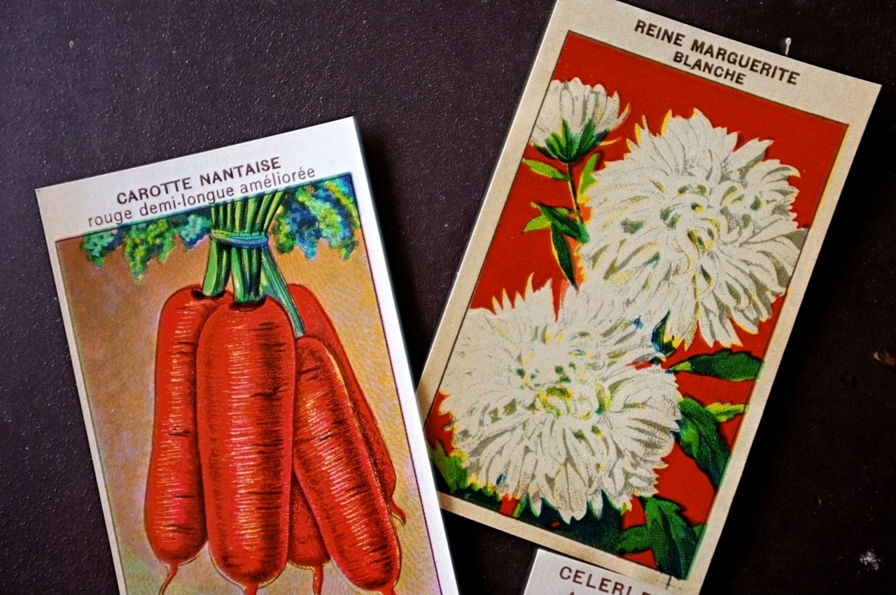 20s フランス 4set 膨満な花々と野菜たち 種子袋用ラベルi アンティーク