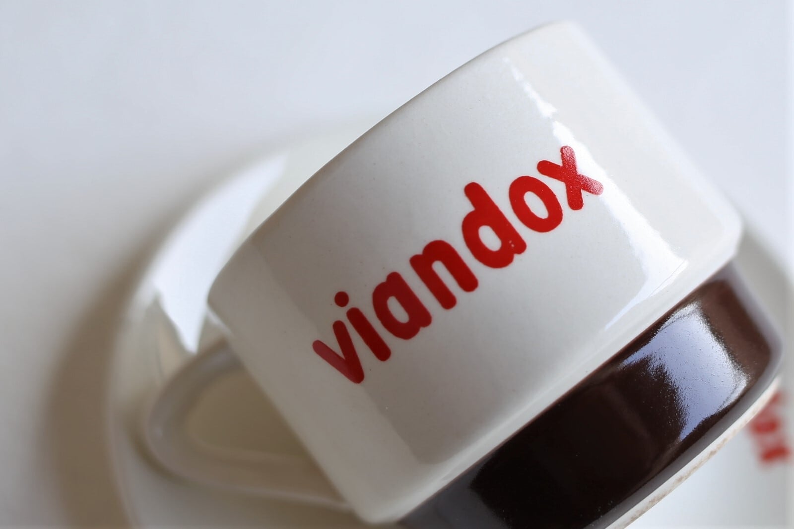 フランス アンティーク ヴィンテージ 『VIANDOX』 カップ＆ソーサー N