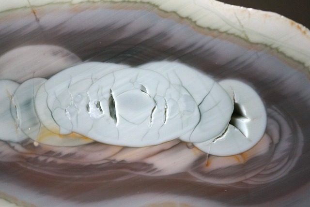 ロイヤルインペリアルジャスパー　Royal Imperial Jasper 1161