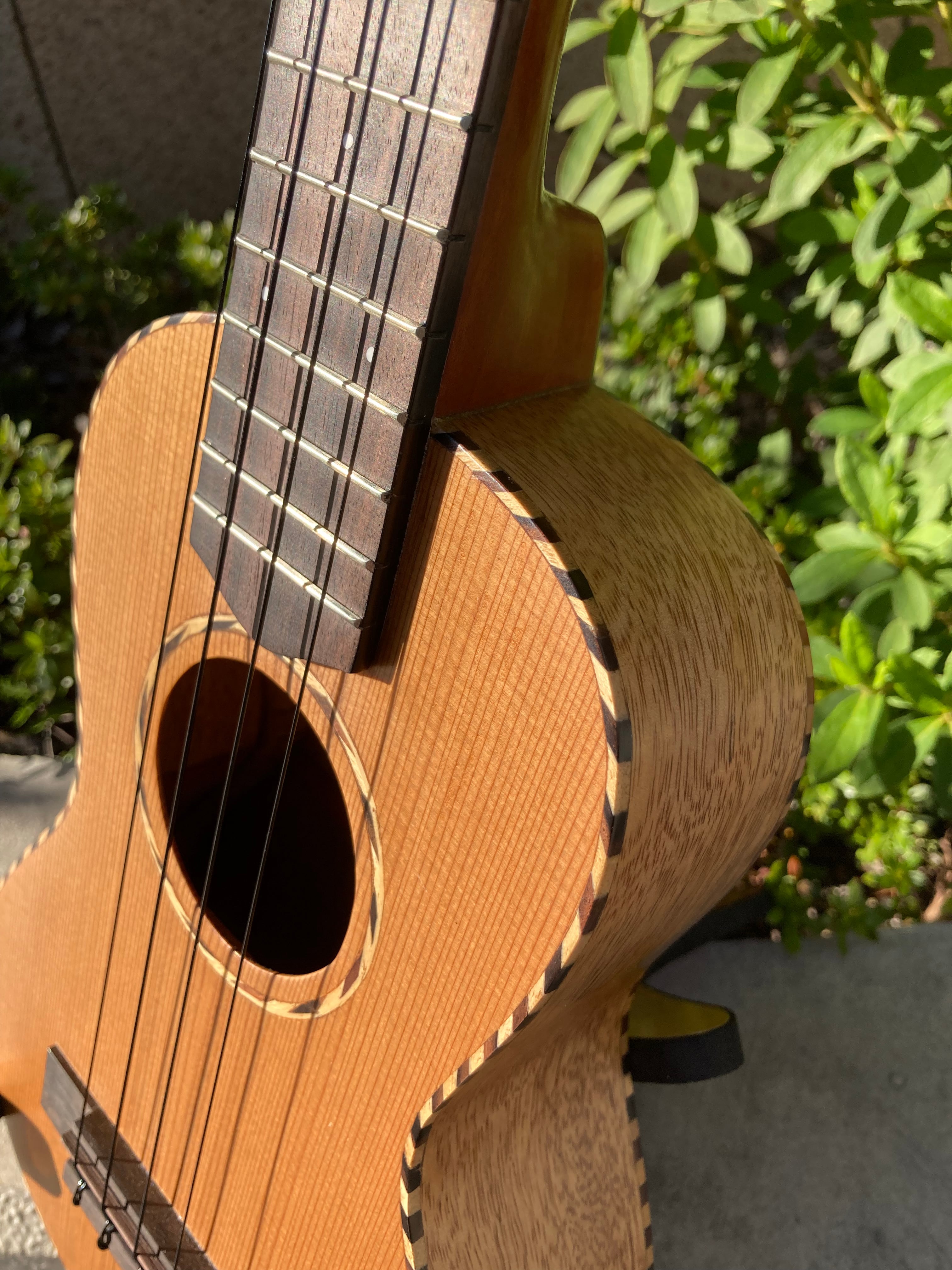 Red Cedar Concert with Mango body | Cedar Wood's