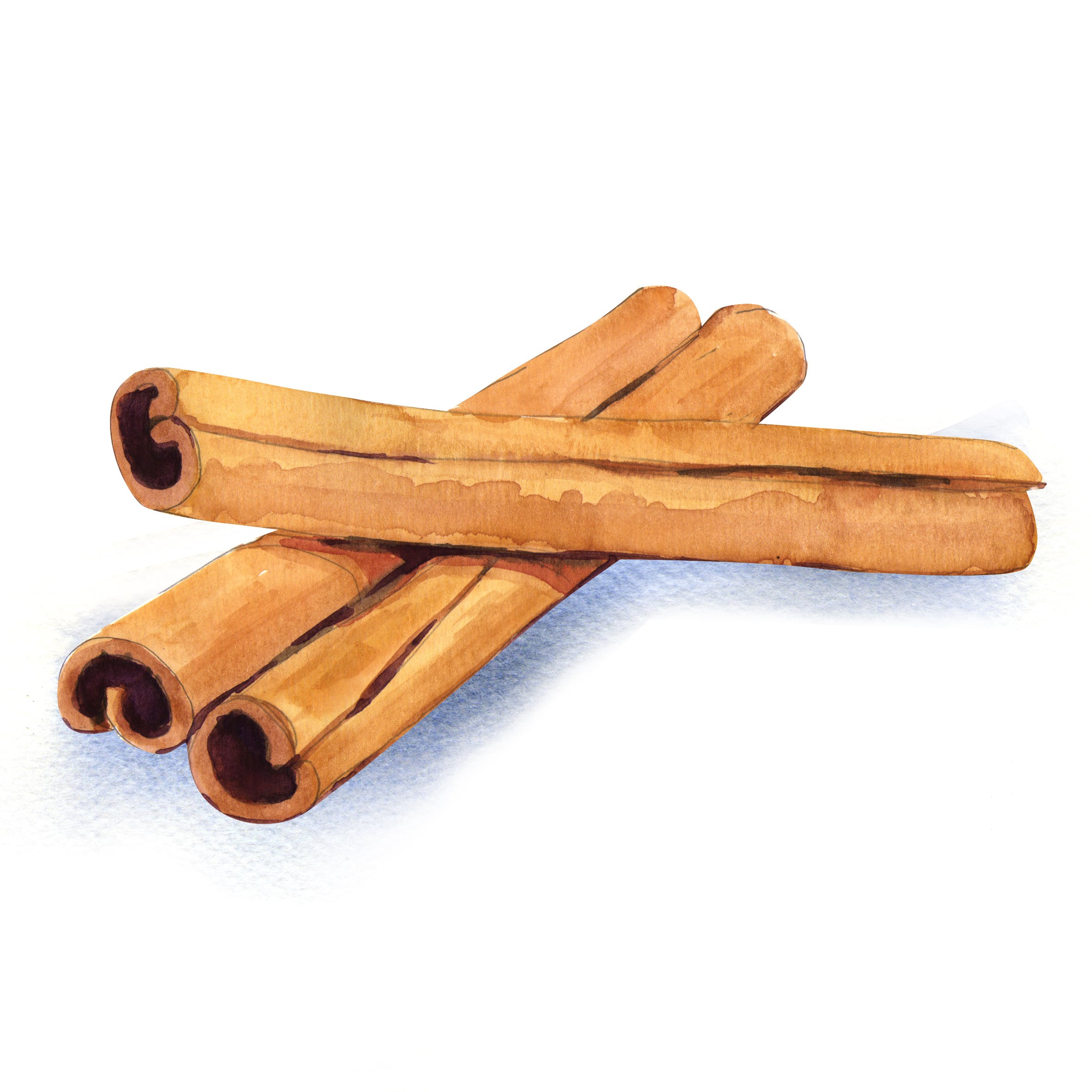 期間限定セール／オルサドリンクス シナモン・シロップ | チャオネット