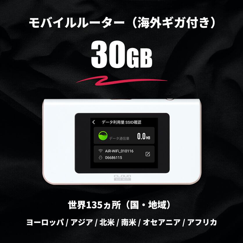 海外ギガ（30GB）+ モバイルルーター（HUNDRED Wi-Fi チャージ Type 本体）
