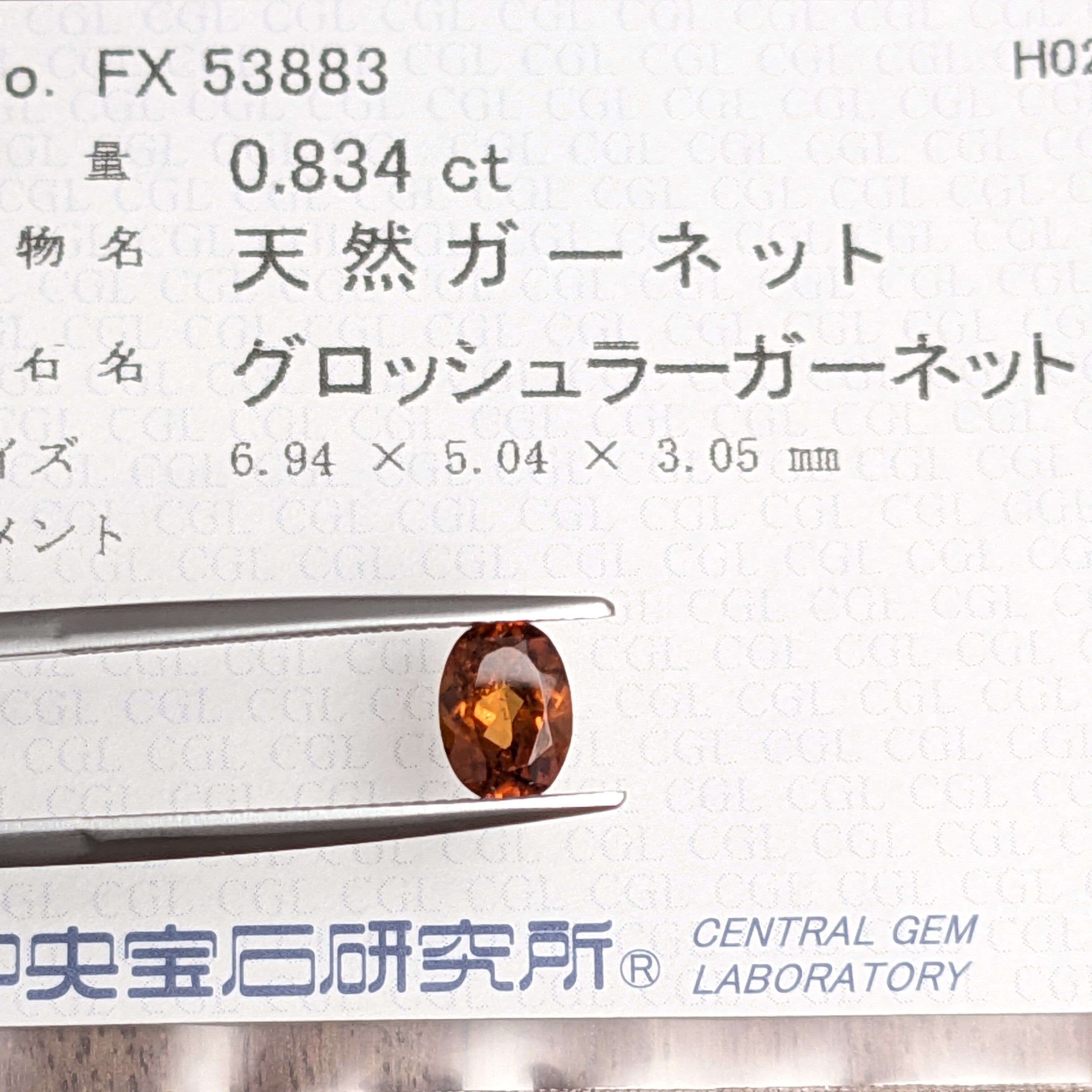 ヘソナイトガーネット | Gem's Subculture