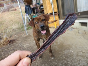 【お買い得】おすすめ！！　☆食べ比べセット☆　鹿肉 ＆ イノシシ肉　ペットフード用　ジャーキー