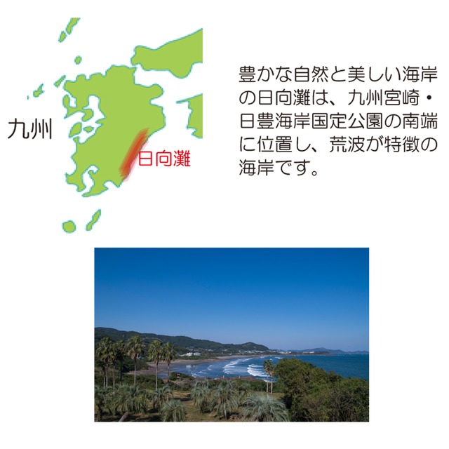 New 黄ゆずと青ゆずのドレッシング１７０ｍｌ ミツイシ オンラインショップ