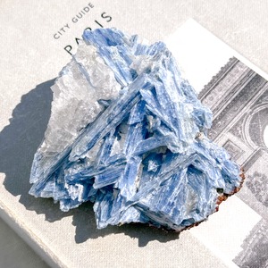 Kyanite on Quartz with Garnet 1 ✧ カイヤナイト on クォーツ & ガーネット(共生原石)
