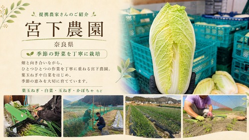 宮下農園の紹介