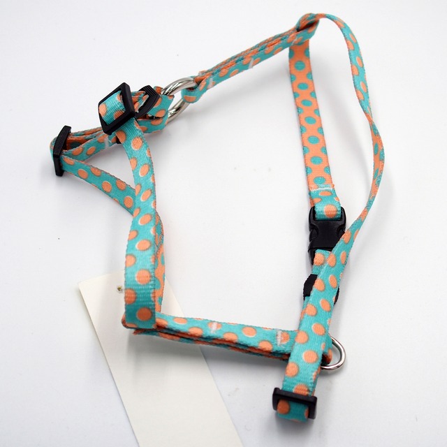 ブルー/メロン水玉  ロマンハーネス＋リードセット XSサイズ - Yellow Dog Design